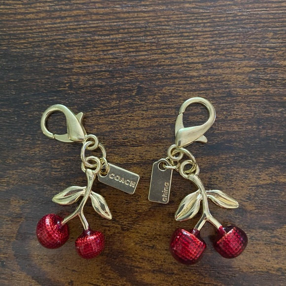 Coach purse charm, keychain or zipper pull, comes with Authentic Coach Dust Bag - Picture 4 of 8